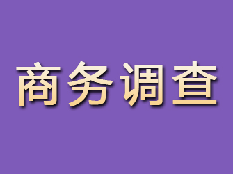 轮台商务调查